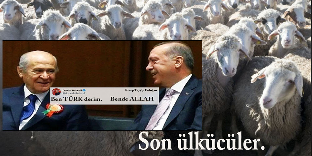 Türk İslam Ülkücüsü